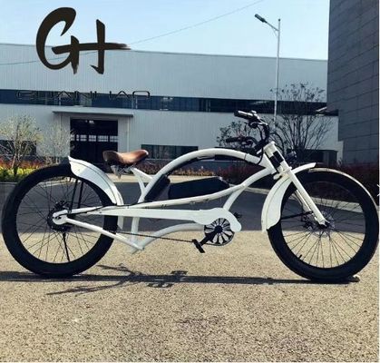 Άντρες 24 ιντσών 3.0 ελαστικό 48V 17AH OEM/ODM 750W 28MPH Single Speed Bafang Motor Display Chopper Ηλεκτρικό ποδήλατο