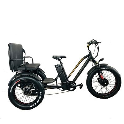 24&quot; 48V μπροστινό τροχό 750W 45KM/H Μαξ φορτίο 300KG 21AH Lithium μπαταρία ηλεκτρικά τρίκυκλοι