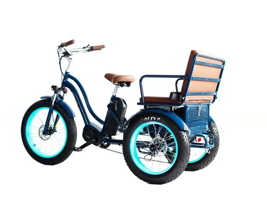 Ηλεκτρικό ρικσαό με μπαταρία λιθίου 48V 750W 17AH και μεγάλα λάστιχα