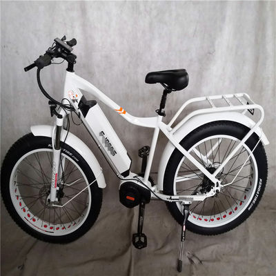 1000W Bafang Mid Drive Motor Alloy Rear Carrier Κεντρικό ηλεκτρικό ποδήλατο με πρότυπα
