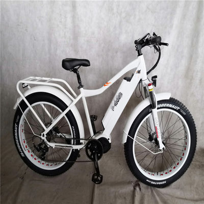 1000W Bafang Mid Drive Motor Alloy Rear Carrier Κεντρικό ηλεκτρικό ποδήλατο με πρότυπα