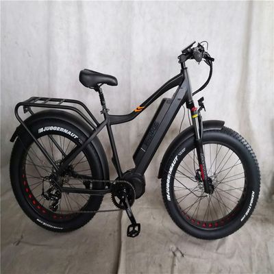 1000W Bafang Mid Drive Motor Alloy Rear Carrier Κεντρικό ηλεκτρικό ποδήλατο με πρότυπα