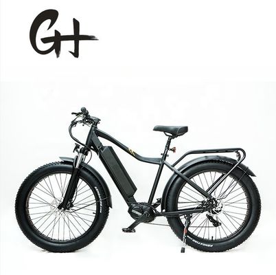 1000W Bafang Mid Drive Motor Alloy Rear Carrier Κεντρικό ηλεκτρικό ποδήλατο με πρότυπα