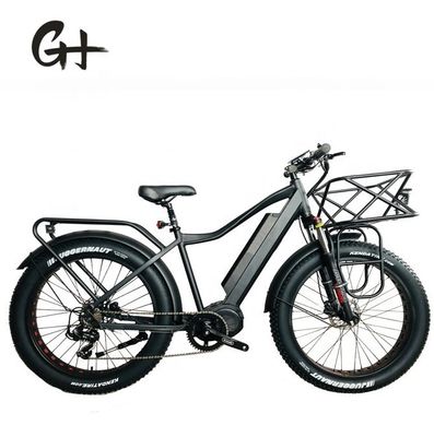 1000W Bafang Mid Drive Motor Alloy Rear Carrier Κεντρικό ηλεκτρικό ποδήλατο με πρότυπα