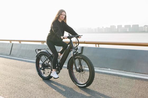 1000W Bafang Mid Drive Motor Alloy Rear Carrier Κεντρικό ηλεκτρικό ποδήλατο με πρότυπα