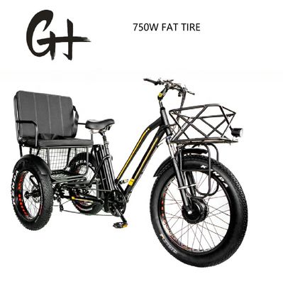 Bafang 750W Motor Electric Tricycle με Fat Tire E Τρεις τροχούς και κάθισμα επιβατών