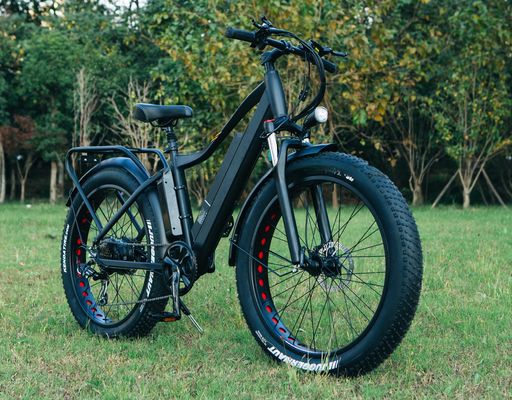 48V 1000W 17AH μπαταρία λιθίου OEM EN15194 CE Προσαρμοσμένο Ηλεκτρικό MTB Mountain Fat Tire Bike