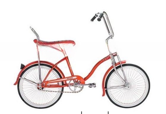 19KGS Γλαστός Βάρος 20 &quot;Κατώτατος αναβάτης ποδήλατο με ατσάλινο πιρούνι