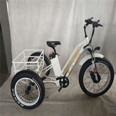 750W 48V 4,0 "Fat ελαστικό 3 τροχούς E Trike Ηλεκτρικό φορτηγό ποδήλατο κράμα Rim 6 Speed ΗΠΑ Hot