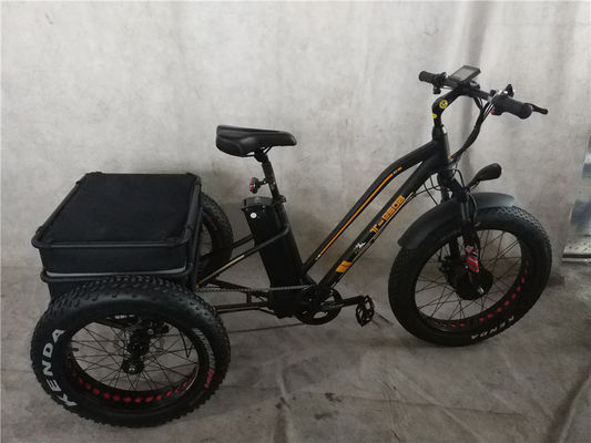 750W 48V 4,0 "Fat ελαστικό 3 τροχούς E Trike Ηλεκτρικό φορτηγό ποδήλατο κράμα Rim 6 Speed ΗΠΑ Hot