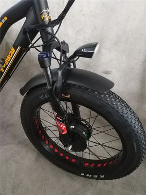 750W 48V 4,0 "Fat ελαστικό 3 τροχούς E Trike Ηλεκτρικό φορτηγό ποδήλατο κράμα Rim 6 Speed ΗΠΑ Hot