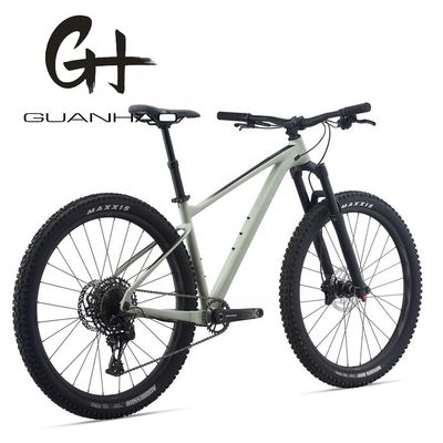 29 ιντσών Mountain Bike με SRAM 11 ταχύτητα μπροστινή ανάρτηση πιρούνι και κράμα αλουμινίου πλαίσιο OEM