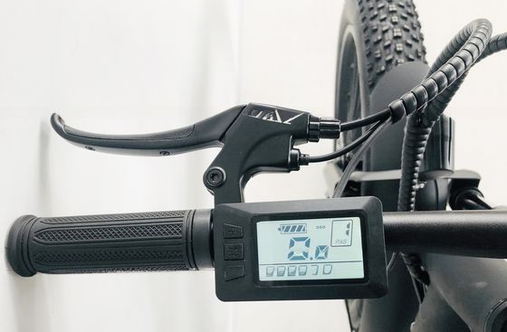 26 ιντσών PAS 750W 1000W 48V μπαταρία λιθίου λιπαρό ελαστικό βουνό ηλεκτρικό ποδήλατο για ενήλικες άνδρες