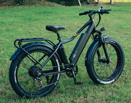 ΗΠΑ CE Εγκρίθηκε 48V 21ah Ηλεκτρικό Mountain Bike με 26 "Fat ελαστικά και πίσω Hub Motor