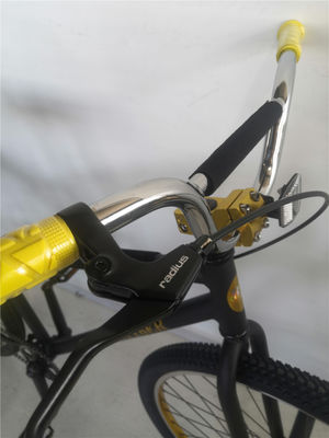 12 κιλά Dirt Jump Freestyle Cruiser Street Rocker BMX Bike 29 ίντσες Περσίδας Αλουμίνιο υλικό