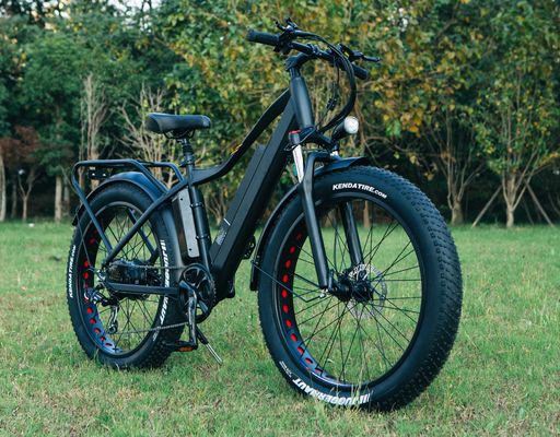 52V 1000W Bafang Motor 17AH Lithium 55KM/H Rear Hub Χιόνι λίπος ελαστικό βουνό ηλεκτρικό ποδήλατο