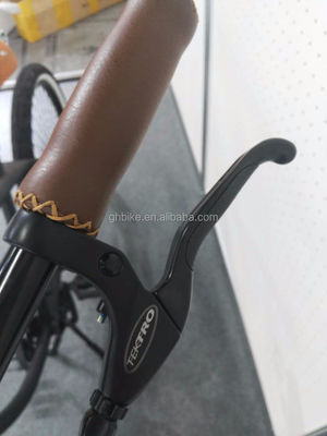 26 ιντσών ανδρικό μονό ταχύτητα Vintage Spring Fork Beach Cruiser για τον ανταγωνισμό Flatland