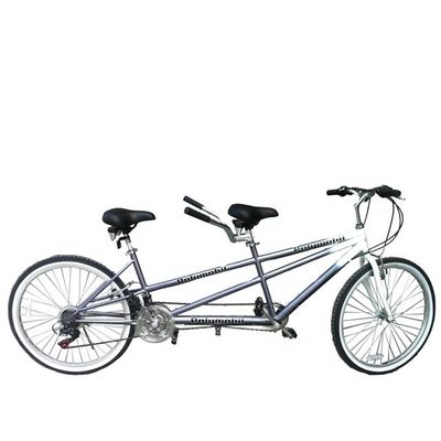 26 ιντσών 18 Speed Mountain λιανική πώληση 20% έκπτωση CE OEM EN14764 Διπλό άτομο Tandem ποδήλατο