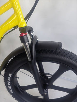 26 ιντσών Fat 4.0 ελαστικό 48V 750W 45KM/H 21AH Ηλεκτρικό Beach Cruiser Bike με οθόνη LCD