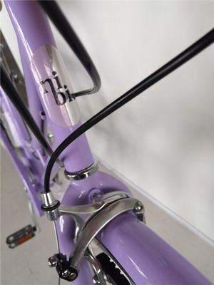KMC αλυσίδα 26 ιντσών Ευρώπη OEM CE Shimano 7 ταχύτητες γυναίκες Lady City ποδήλατο 1,8m μήκος