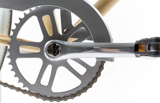 13 KGS 24 ιντσών Alloy Hub Single Speed Coaster Brake Holland City Bike για άνδρες και γυναίκες