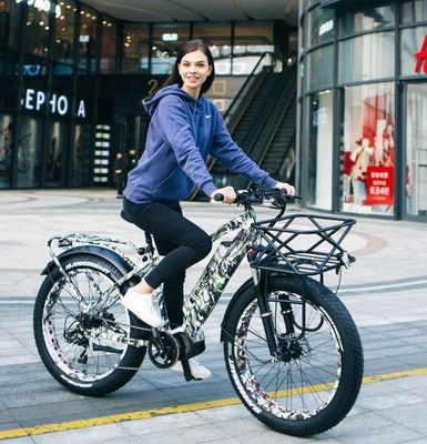 Ενηλίκων Fat Tire Cycle E Ebike Ηλεκτρικό ποδήλατο 48V 1000W 21A Κεντρική Μέση κίνηση κινητήρα 26 ίντσες