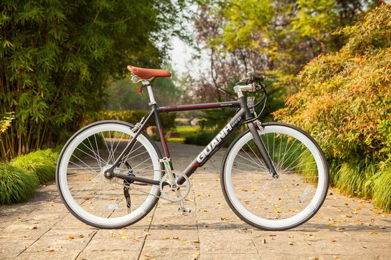 Πόλη 700C 25KM/H CE 36V 8AH Λιθιογενής μπαταρία OEM Προσαρμοσμένη 250W Ευρώπη Πόλη Μία ταχύτητα Ενήλικες Άνδρες Ηλεκτρικό κρυμμένο μπαταρία ποδήλατο