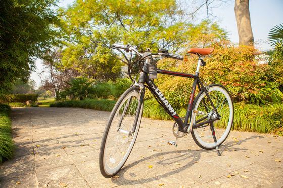Πόλη 700C 25KM/H CE 36V 8AH Λιθιογενής μπαταρία OEM Προσαρμοσμένη 250W Ευρώπη Πόλη Μία ταχύτητα Ενήλικες Άνδρες Ηλεκτρικό κρυμμένο μπαταρία ποδήλατο