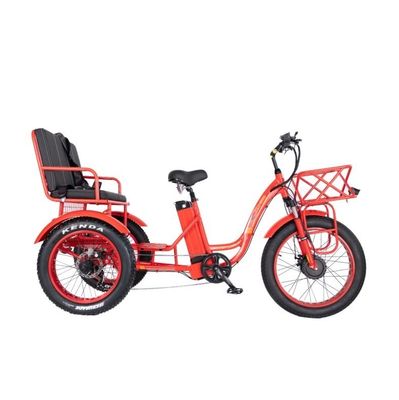 48V E Trike 3 Wheel 750 Watt Fat Tire Ρίκσα με Bafang 750W κινητήρα και απόδοση
