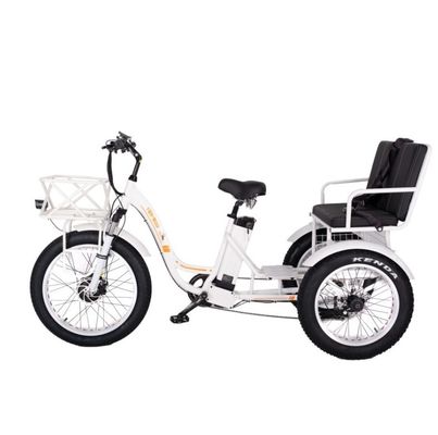 48V E Trike 3 Wheel 750 Watt Fat Tire Ρίκσα με Bafang 750W κινητήρα και απόδοση