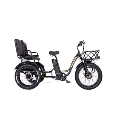 48V E Trike 3 Wheel 750 Watt Fat Tire Ρίκσα με Bafang 750W κινητήρα και απόδοση
