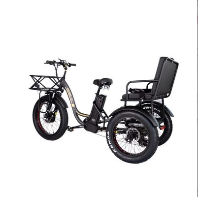 48V E Trike 3 Wheel 750 Watt Fat Tire Ρίκσα με Bafang 750W κινητήρα και απόδοση