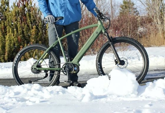 26" 48V 500W Ηλεκτρικό Beach Cruiser Bike με Shimano 7 ταχύτητες και 14AH μπαταρία λιθίου