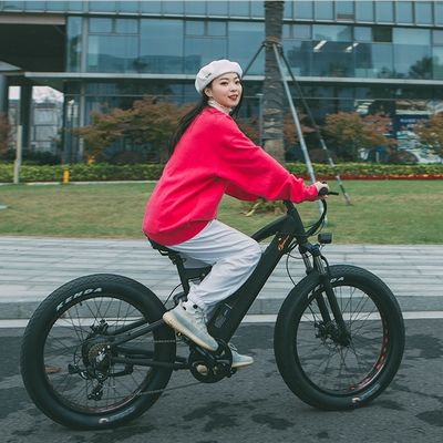 Προσαρμοσμένο 26 ιντσών CE CPSC 4.0 Fat Tire 48V 1000W 32MPH 21AH Lithium Battery Mountain Bike