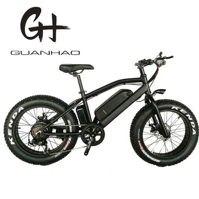 20 ιντσών Aluminum Alloy Frame Boy Mini 48V 4.0 USA CE 750W Kid Mountain Ηλεκτρικό ποδήλατο