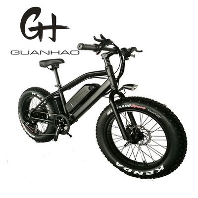 20 ιντσών Aluminum Alloy Frame Boy Mini 48V 4.0 USA CE 750W Kid Mountain Ηλεκτρικό ποδήλατο