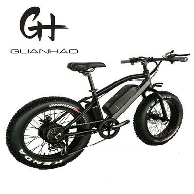 20 ιντσών Aluminum Alloy Frame Boy Mini 48V 4.0 USA CE 750W Kid Mountain Ηλεκτρικό ποδήλατο