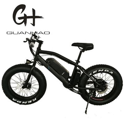 20 ιντσών Aluminum Alloy Frame Boy Mini 48V 4.0 USA CE 750W Kid Mountain Ηλεκτρικό ποδήλατο