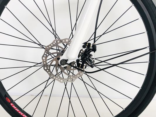 28 ιντσών ποδήλατο πόλης 36V250W μπαταρία λιθίου 14AH EN15194 EN15194 για γυναίκες Lady ΗΠΑ Ευρώπη