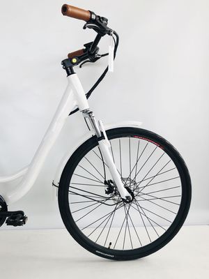 ΗΠΑ USD390 500W 48V 14AH Ηλεκτρικό ποδήλατο κυρίας με 7 ταχύτητες και οθόνη LCD