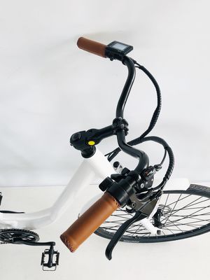 ΗΠΑ USD390 500W 48V 14AH Ηλεκτρικό ποδήλατο κυρίας με 7 ταχύτητες και οθόνη LCD