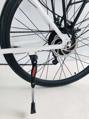 ΗΠΑ USD390 500W 48V 14AH Ηλεκτρικό ποδήλατο κυρίας με 7 ταχύτητες και οθόνη LCD