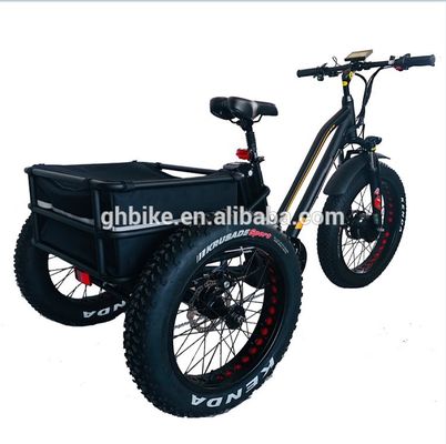 ΗΠΑ BAFANG Sensor Ηλεκτρικά τριποδήλατα με τρεις τροχούς και υδραυλικό φρένο δίσκου