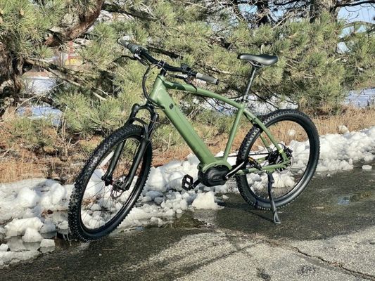 36V 350W EN15194 2007 Ενιαία ταχύτητα ηλεκτρικό ποδήλατο με μπαταρία λιθίου 10,41AH και PAS