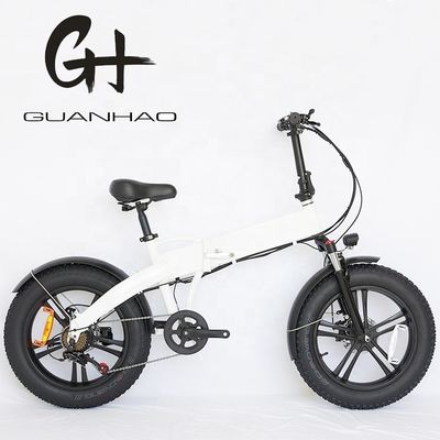 20 &quot;Μεγέθος τροχού 500W EN15194 Δυνατό αναδιπλούμενο λάστιχο ηλεκτρικό ποδήλατο για προσφορά της Μαύρης Παρασκευής