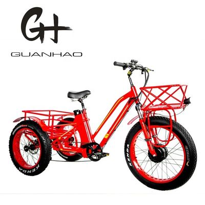 48V 750W μπροστινός κινητήρας 24&quot; ηλεκτρικό τρίκυκλο για ενήλικες με μπαταρία λιθίου 17AH και παχιά λάστιχα χιονιού