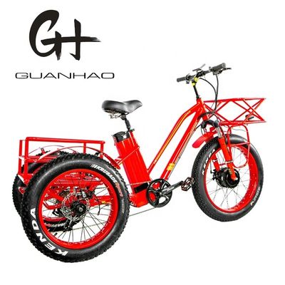 48V 750W μπροστινός κινητήρας 24&quot; ηλεκτρικό τρίκυκλο για ενήλικες με μπαταρία λιθίου 17AH και παχιά λάστιχα χιονιού