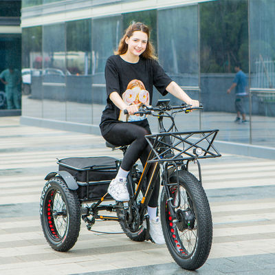 48V 750W μπροστινός κινητήρας 24&quot; ηλεκτρικό τρίκυκλο για ενήλικες με μπαταρία λιθίου 17AH και παχιά λάστιχα χιονιού