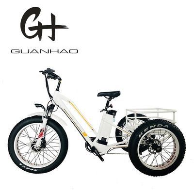 48V21AH μπαταρία CE ΗΠΑ αγορά 750W 8FUN μπροστινός κινητήρας 24-20 ιντσών 3 τροχών λίπος ελαστικό ηλεκτρικό ρικσά