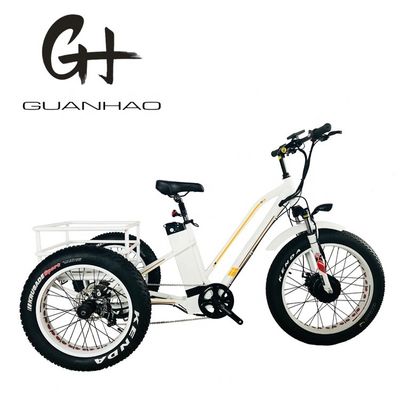 48V21AH μπαταρία CE ΗΠΑ αγορά 750W 8FUN μπροστινός κινητήρας 24-20 ιντσών 3 τροχών λίπος ελαστικό ηλεκτρικό ρικσά